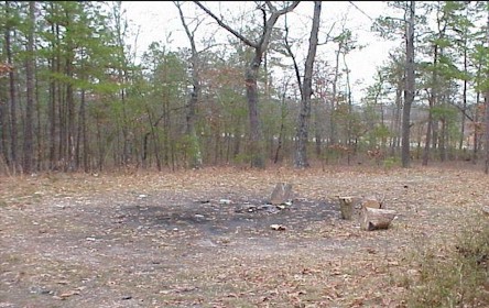 Panoramic view of the clearing